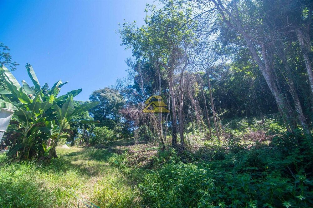 Terreno, 5000 m² - Foto 14