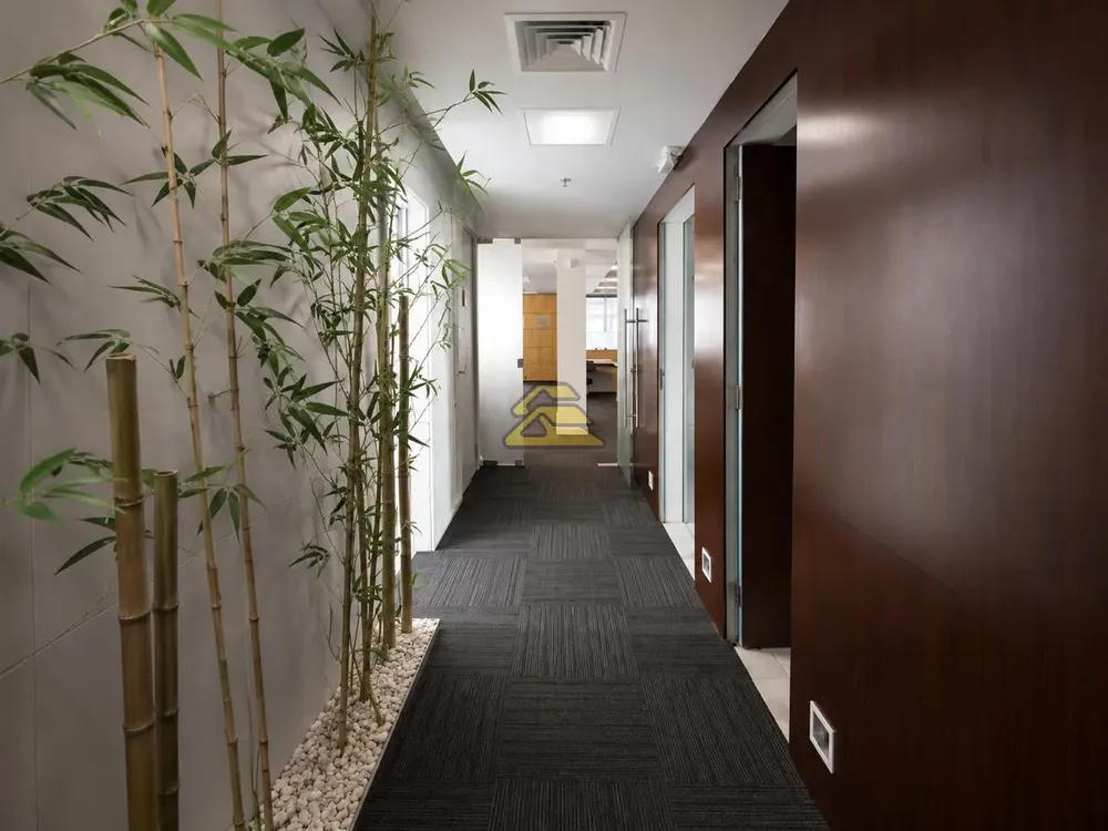 Sala-Conjunto, 569 m² - Foto 2
