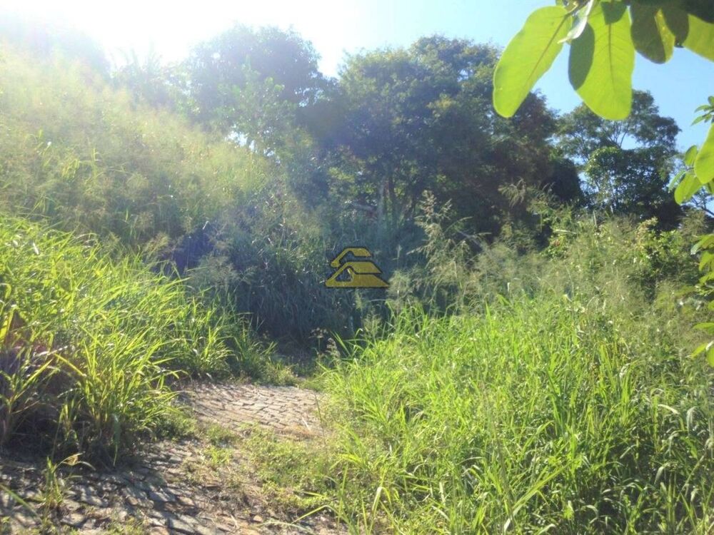Terreno à venda, 10000m² - Foto 5