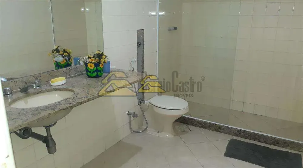 Casa, 6 quartos, 310 m² - Foto 14