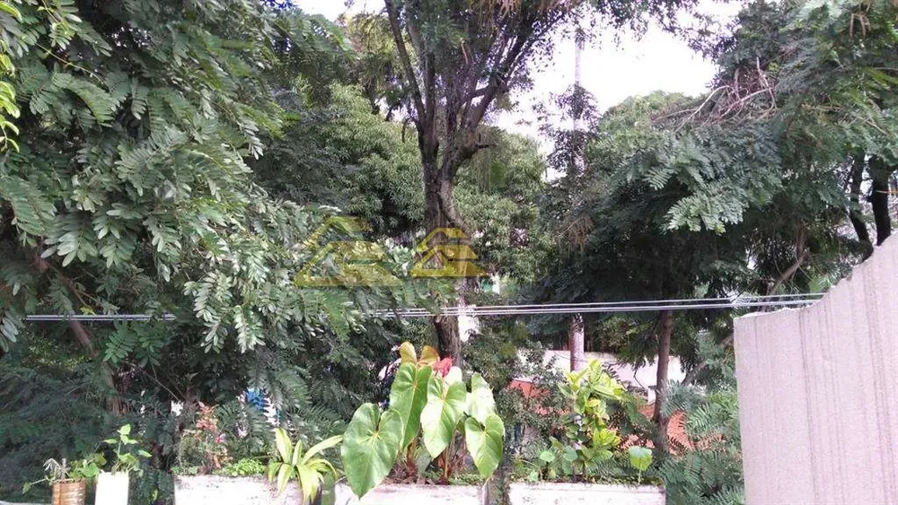 Casa, 6 quartos, 310 m² - Foto 16