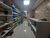 Prédio Inteiro, 696 m² - Foto 4