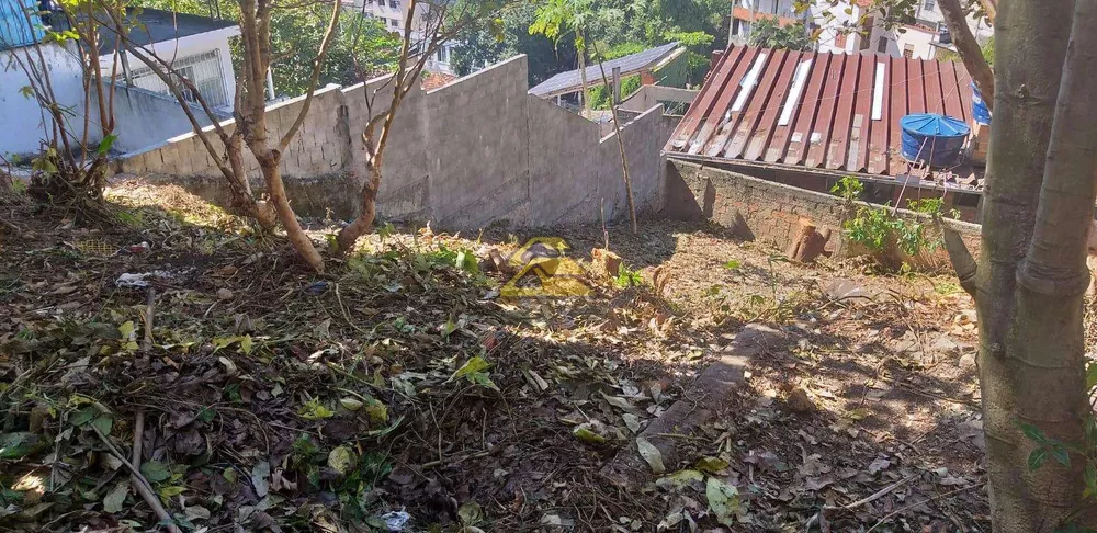 Casa, 5 quartos, 200 m² - Foto 15