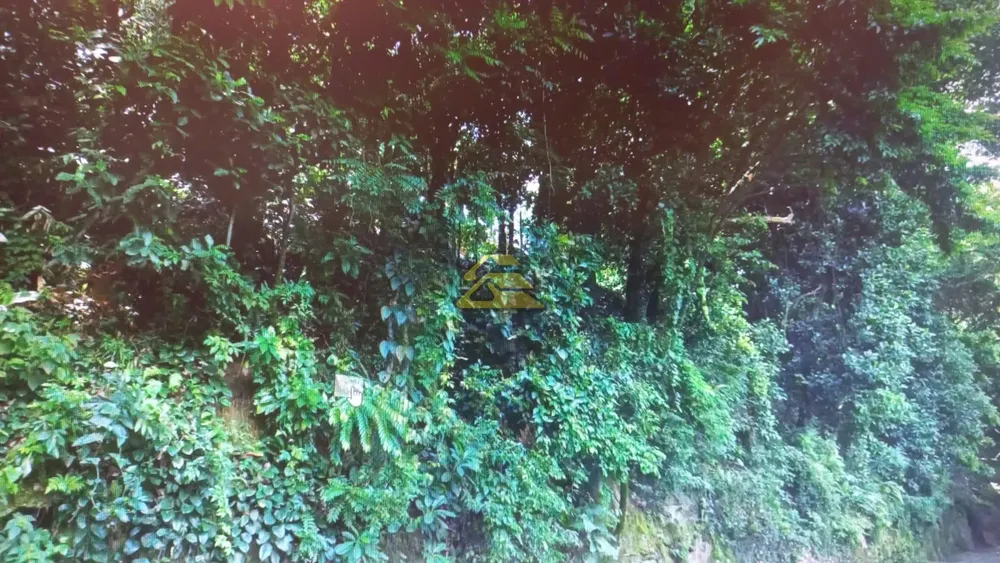 Terreno, 550 m² - Foto 6