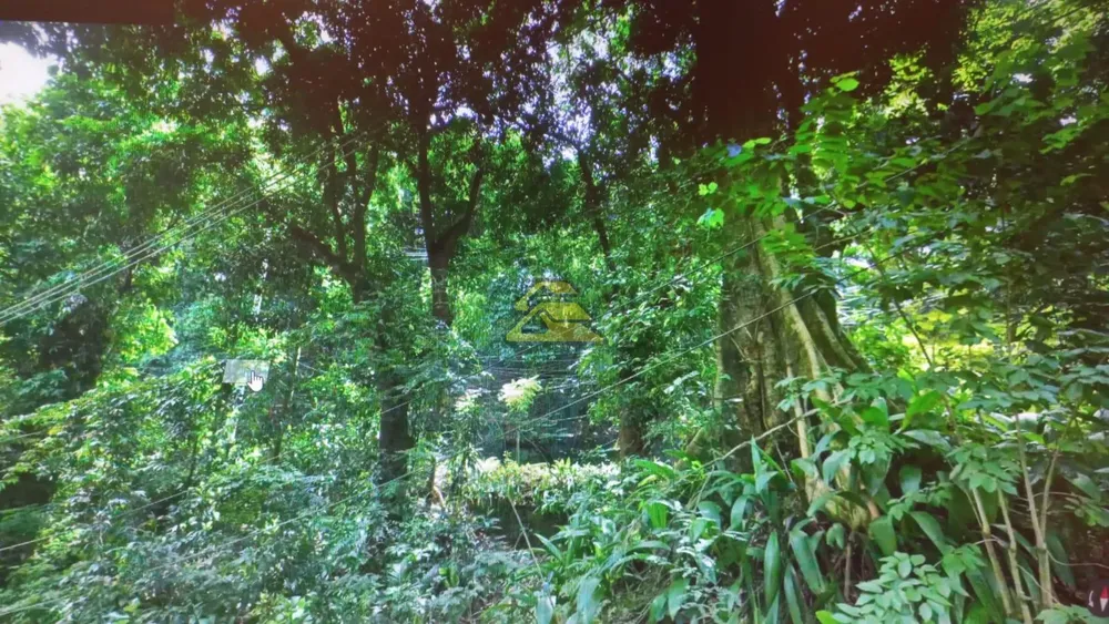 Terreno, 550 m² - Foto 15