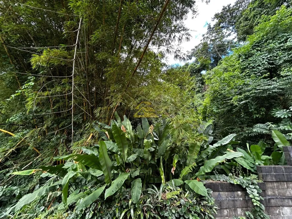 Terreno, 550 m² - Foto 5