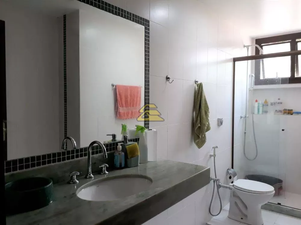 Casa, 4 quartos, 342 m² - Foto 13