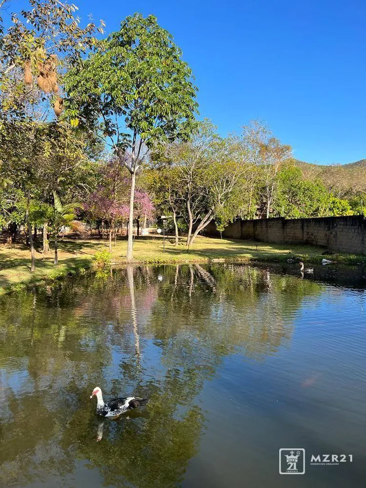 Chácara, 4 quartos, 6000 m² - Foto 5