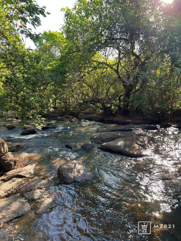 Chácara, 4 quartos, 6000 m² - Foto 7
