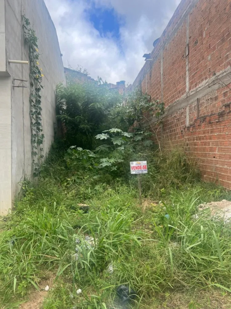 Terreno, 100 m² - Foto 2