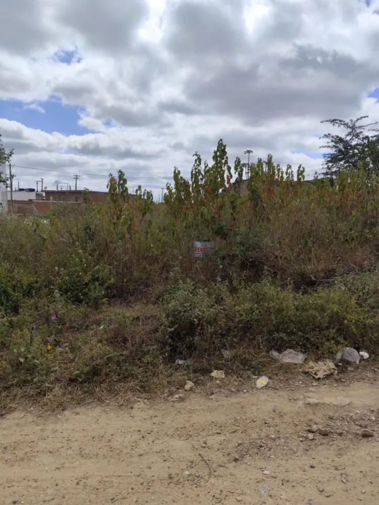 Terreno, 130 m² - Foto 3
