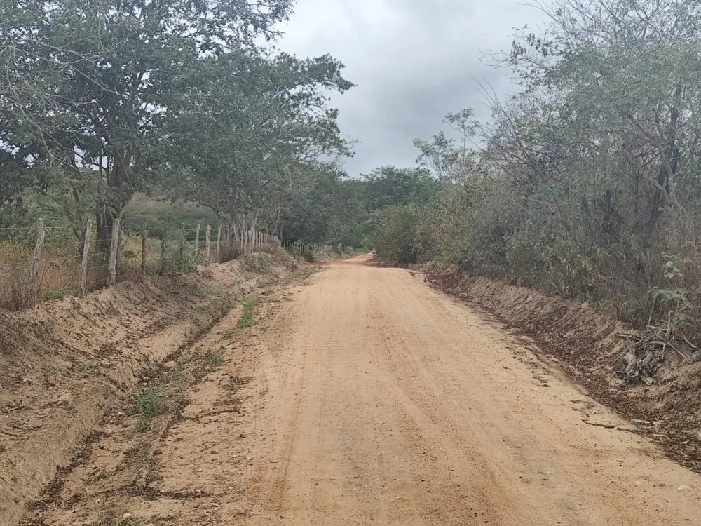 Terreno, 2500 m² - Foto 5