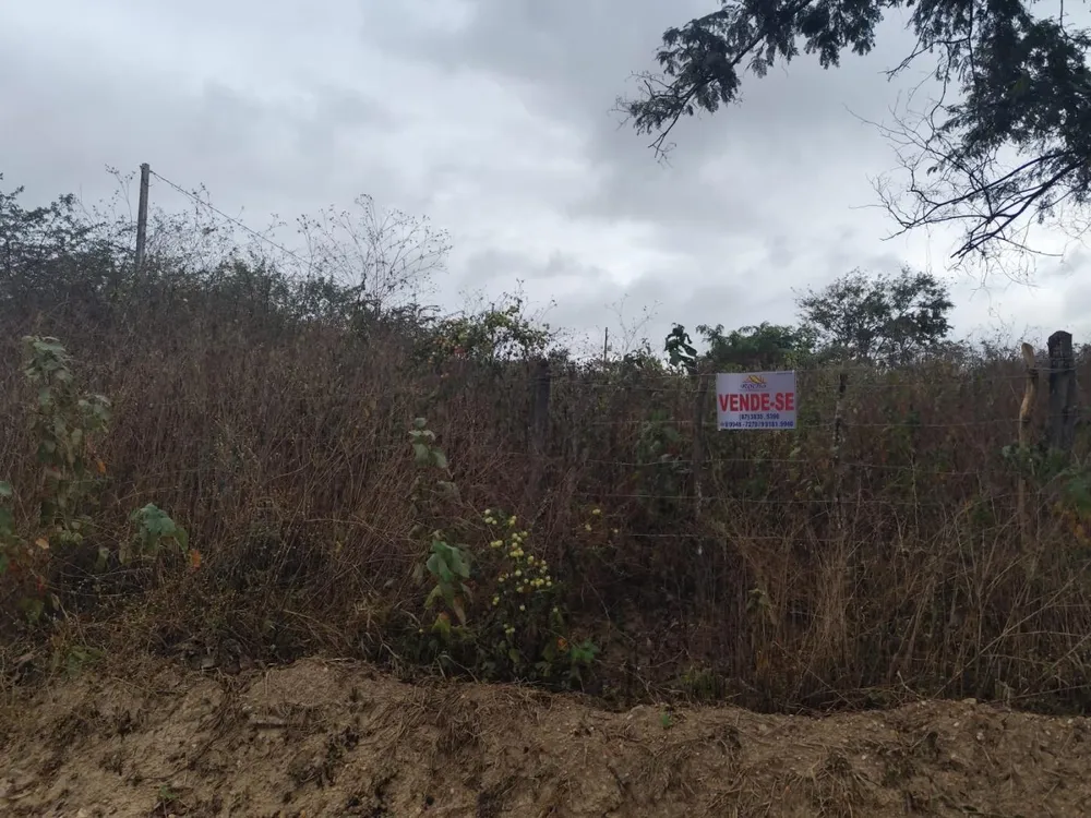Terreno, 2500 m² - Foto 2