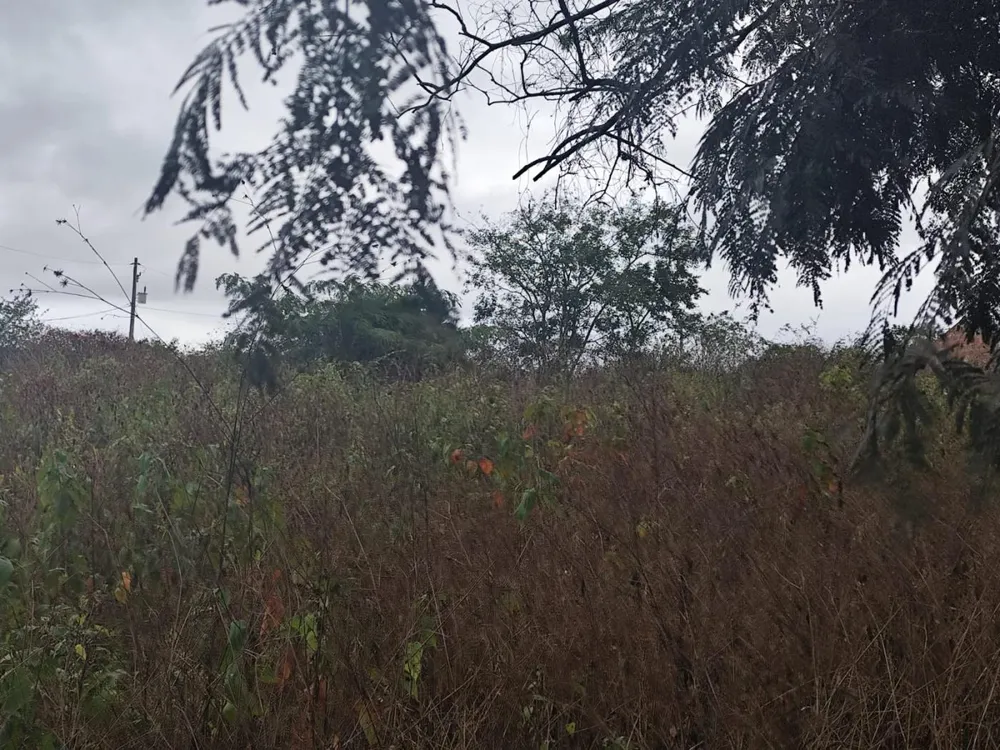 Terreno, 2500 m² - Foto 7