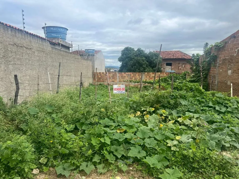 Terreno, 200 m² - Foto 4