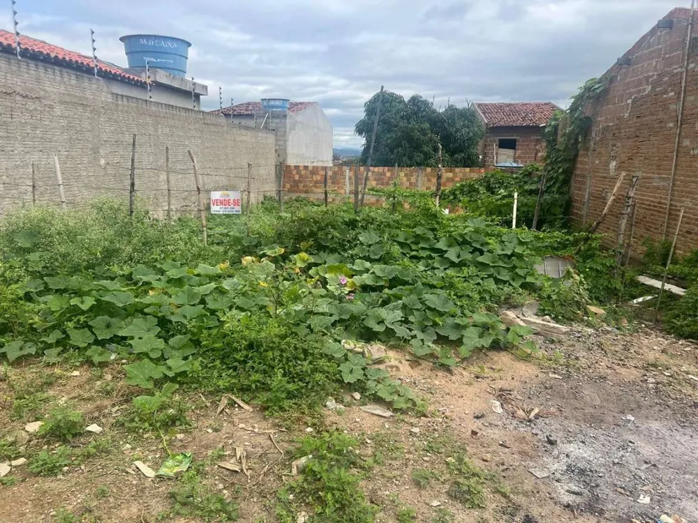 Terreno, 200 m² - Foto 5