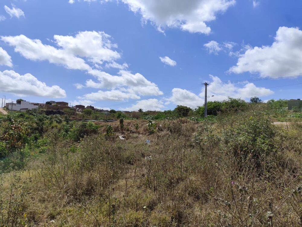 Terreno, 3760 m² - Foto 10