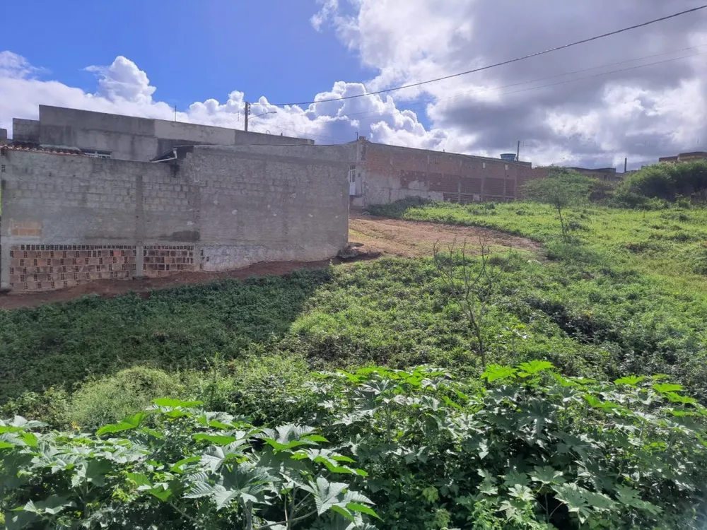 Terreno, 200 m² - Foto 4