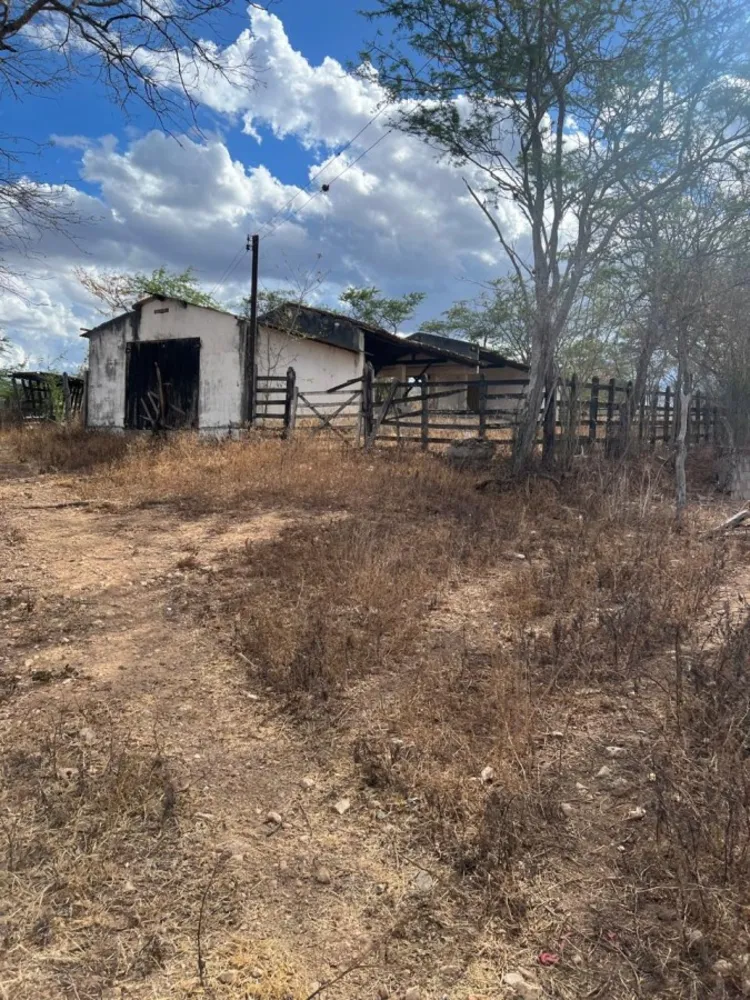 Sítio, 25 hectares - Foto 4