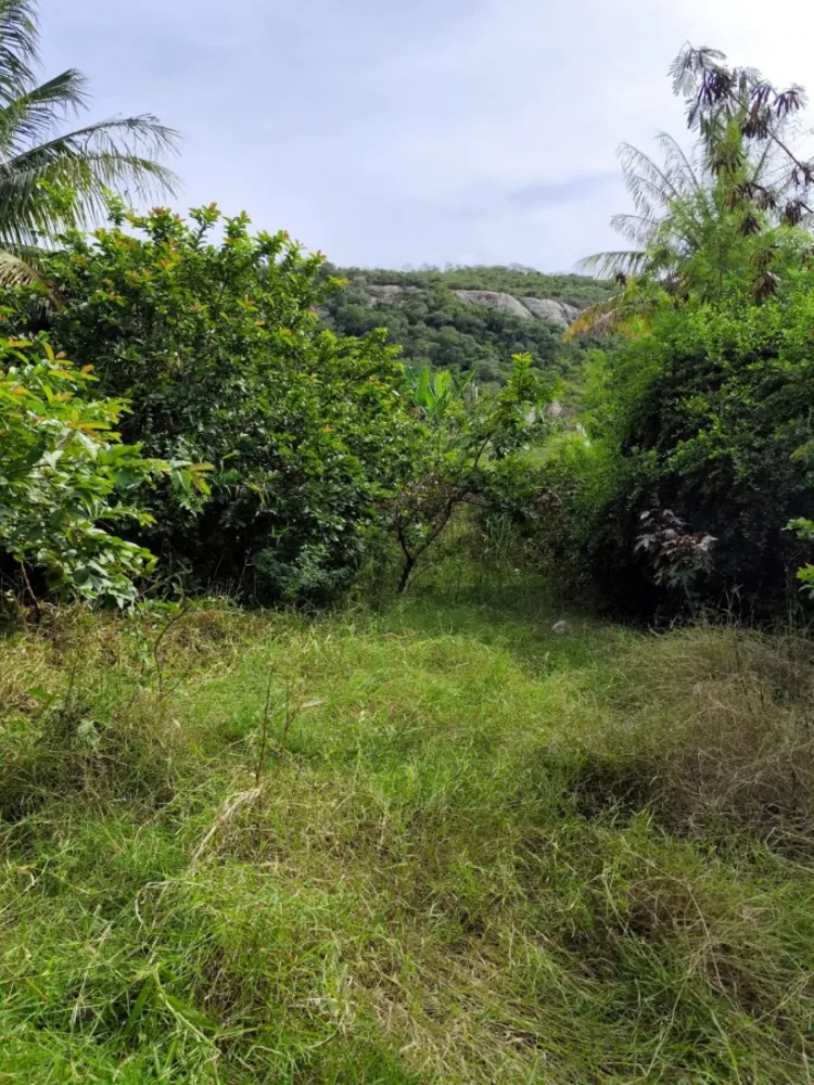 Terreno, 500 m² - Foto 2