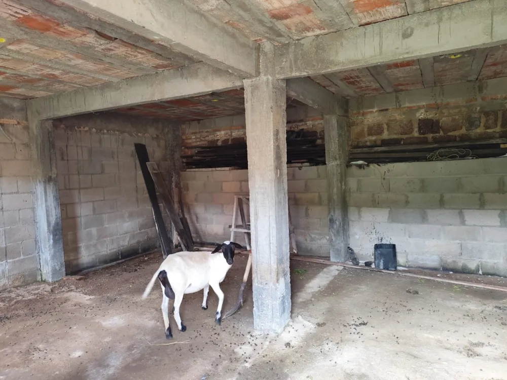 Terreno, 500 m² - Foto 6