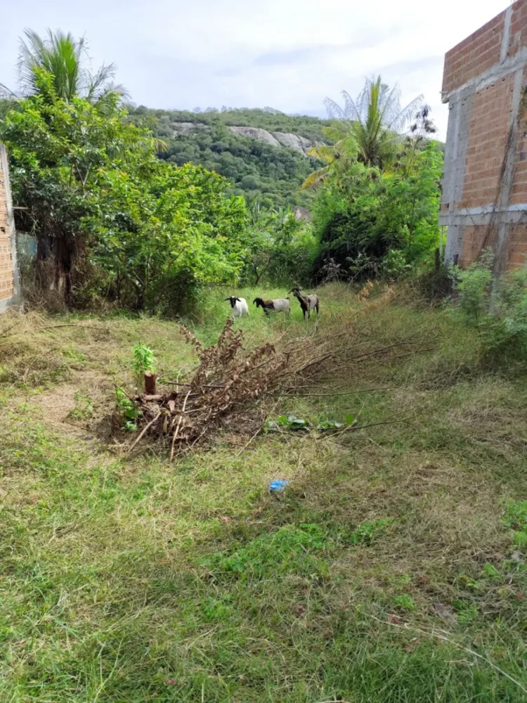 Terreno, 500 m² - Foto 4