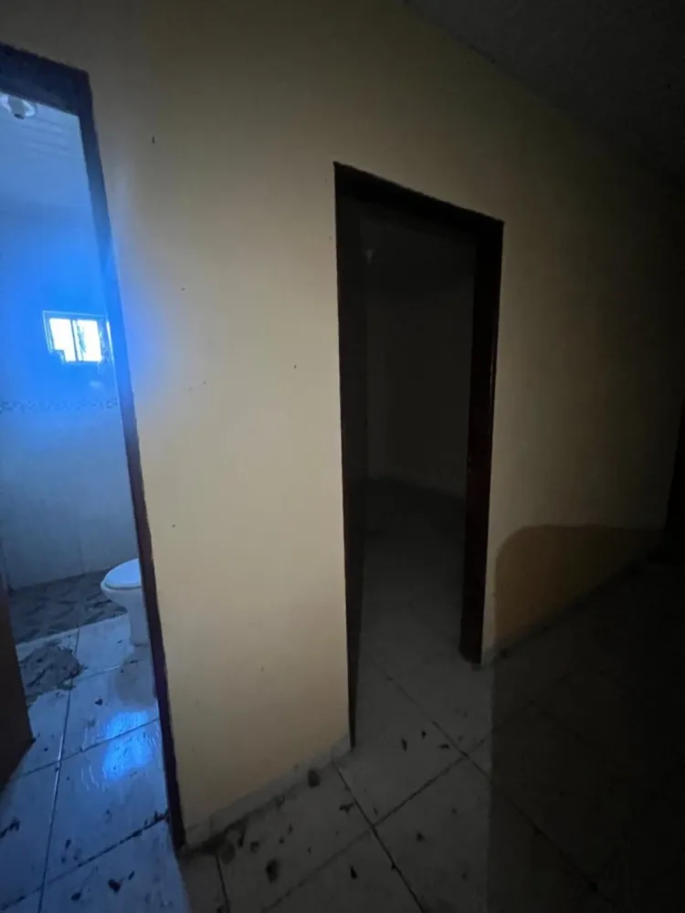 Chácara, 3 quartos, 1000 m² - Foto 6