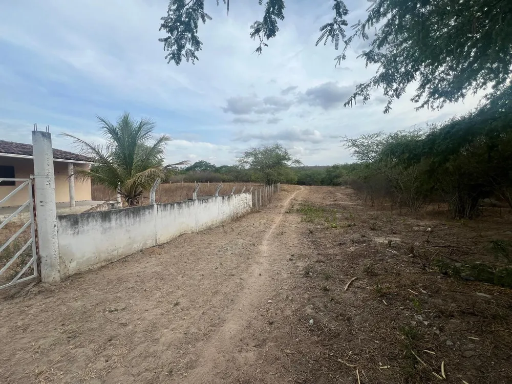 Chácara, 3 quartos, 1000 m² - Foto 7
