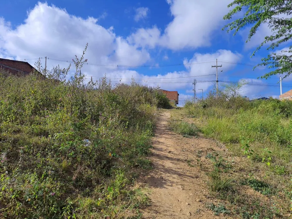 Terreno, 100 m² - Foto 4