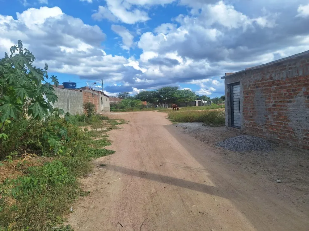 Terreno, 2500 m² - Foto 2