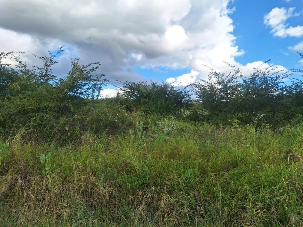 Terreno, 2500 m² - Foto 3