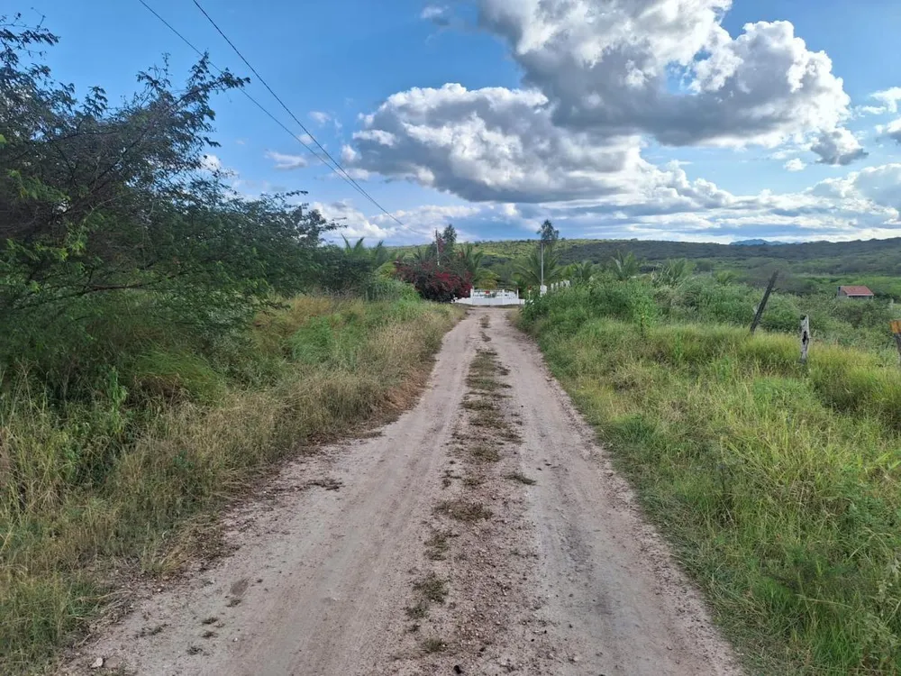Terreno, 2500 m² - Foto 6