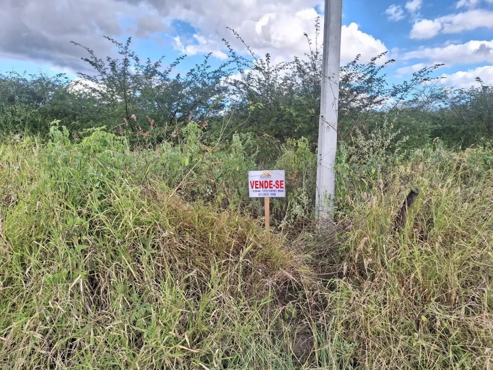 Terreno, 2500 m² - Foto 4
