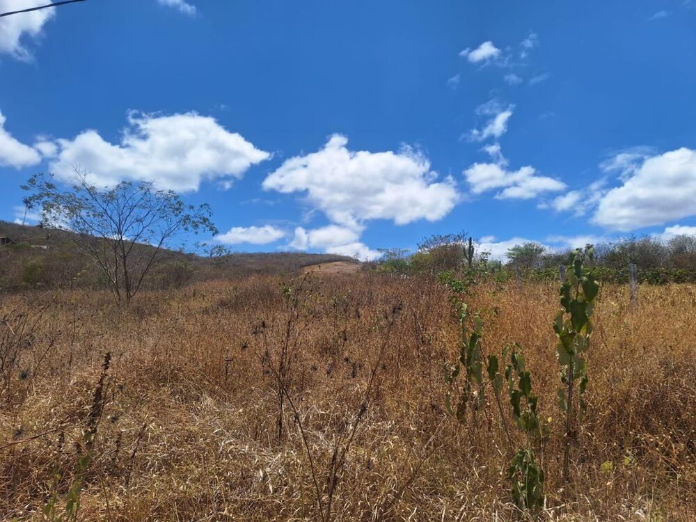Terreno à venda, 3750m² - Foto 1