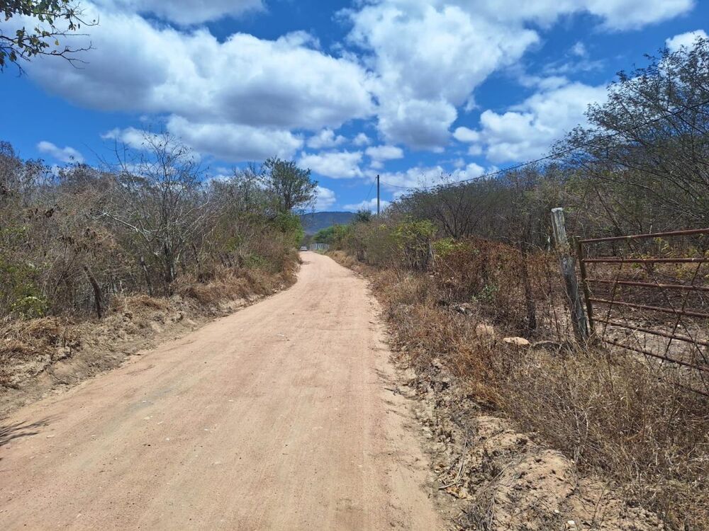 Terreno à venda, 3750m² - Foto 3