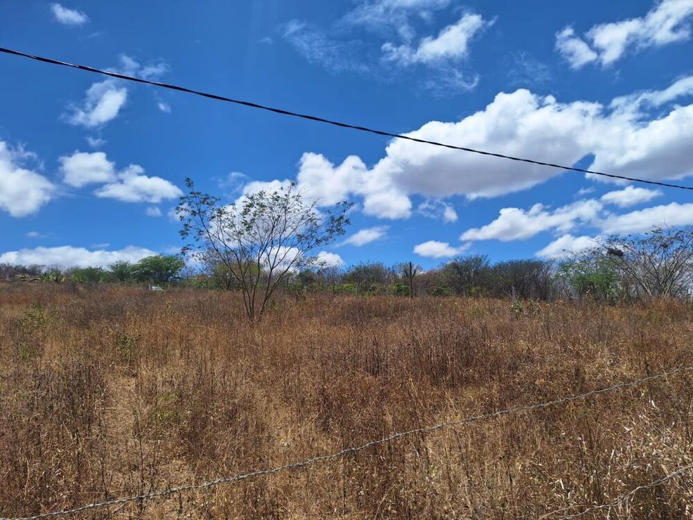 Terreno à venda, 3750m² - Foto 2