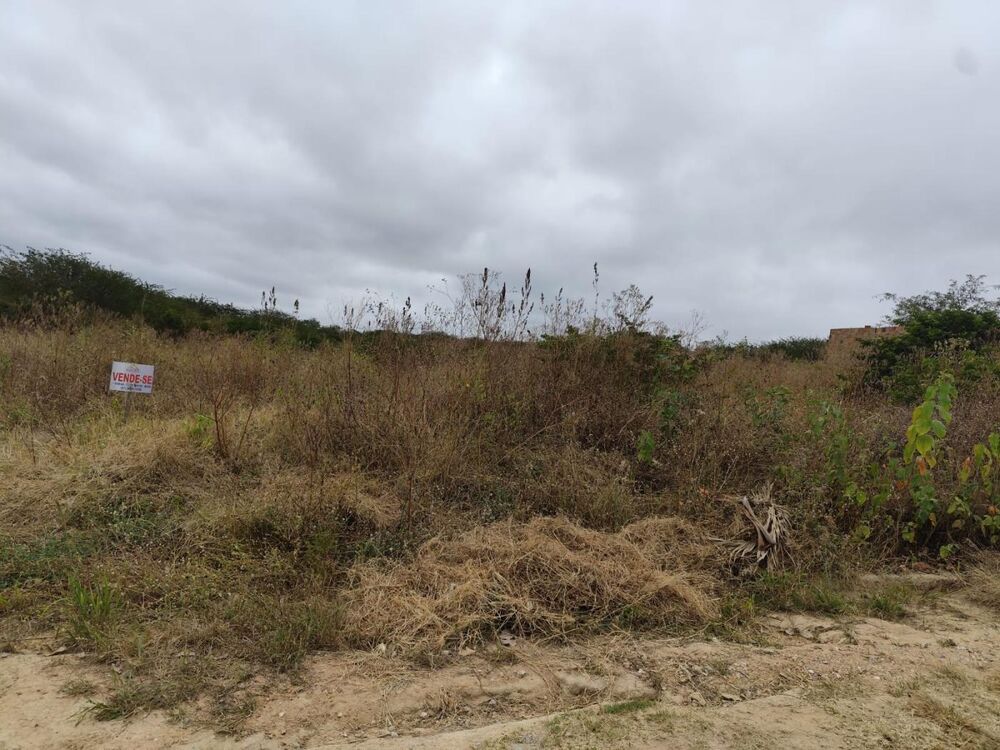 Terreno, 2500 m² - Foto 2