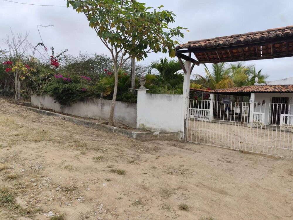 Terreno, 2500 m² - Foto 6