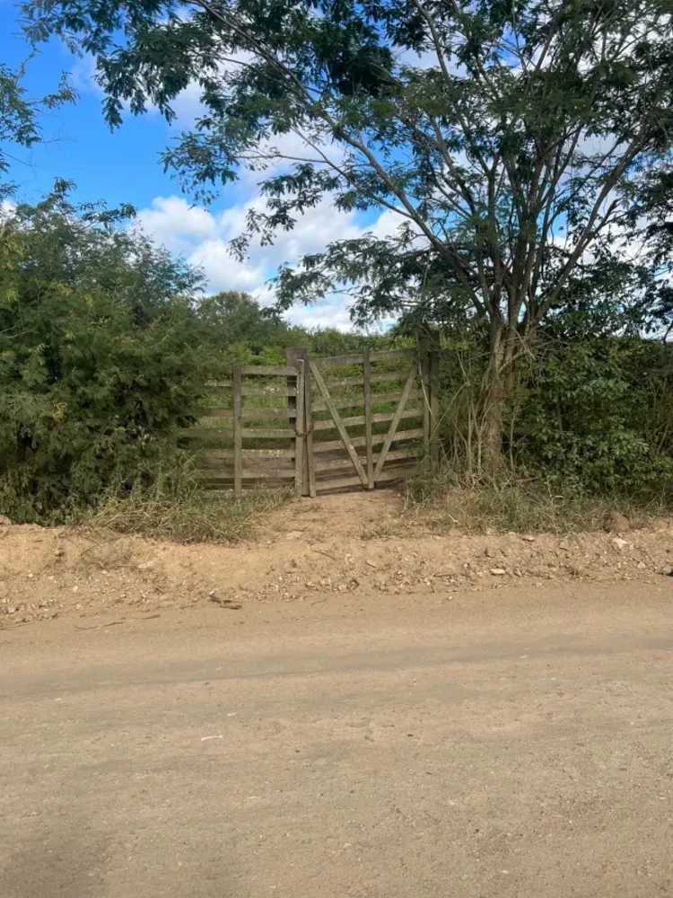 Terreno, 12 hectares - Foto 2