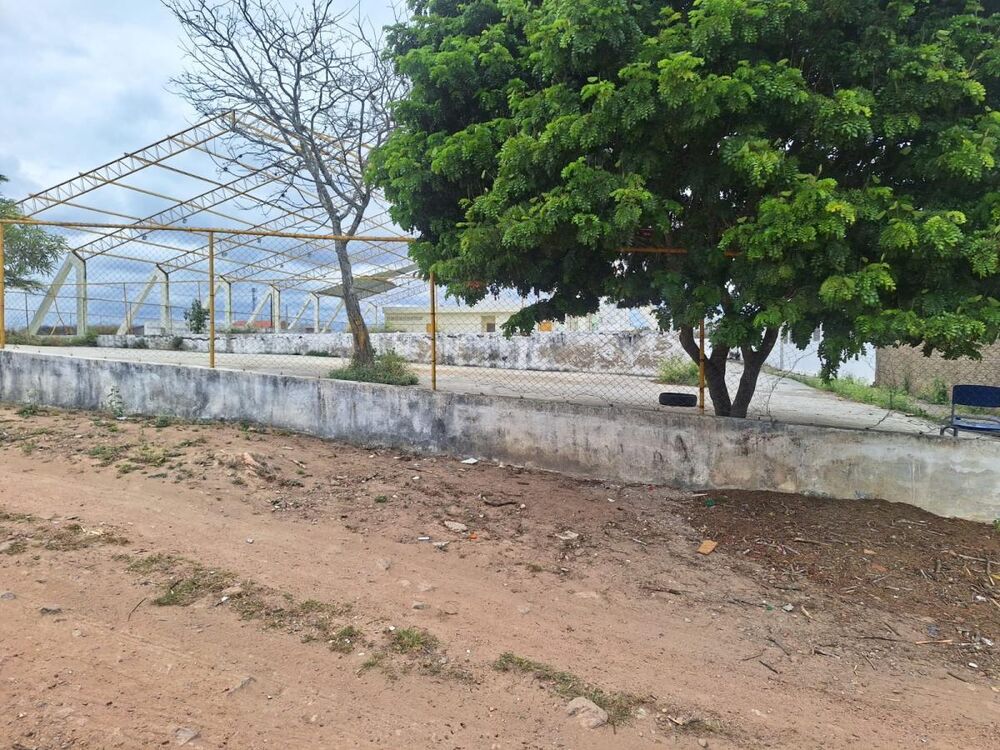 Terreno, 130 m² - Foto 3