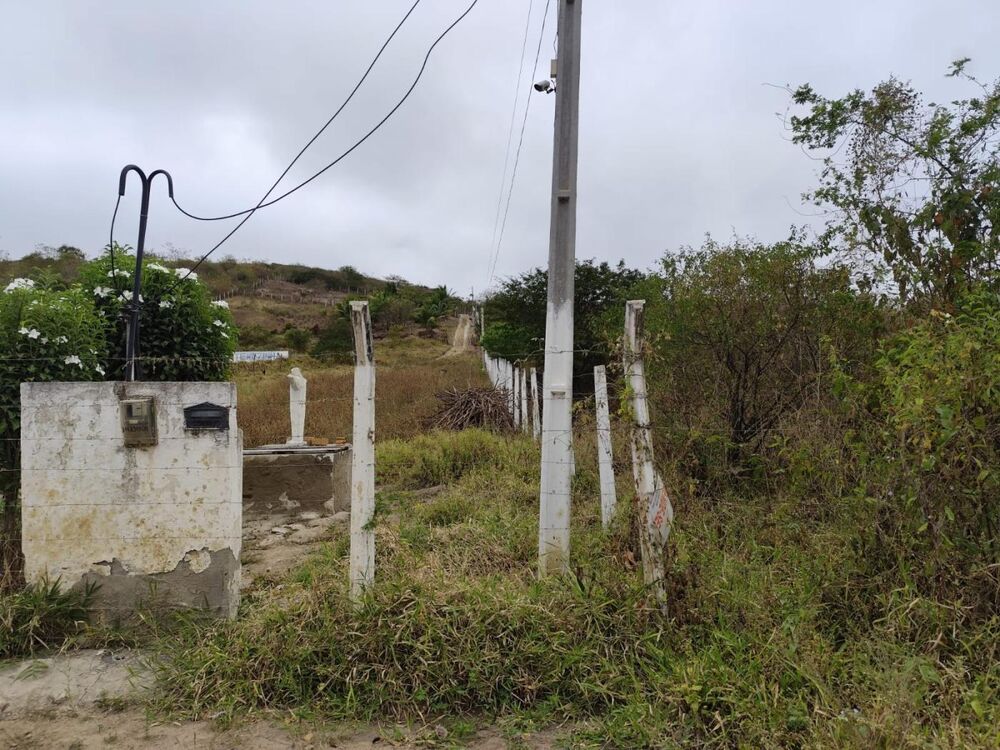 Terreno, 4250 m² - Foto 2