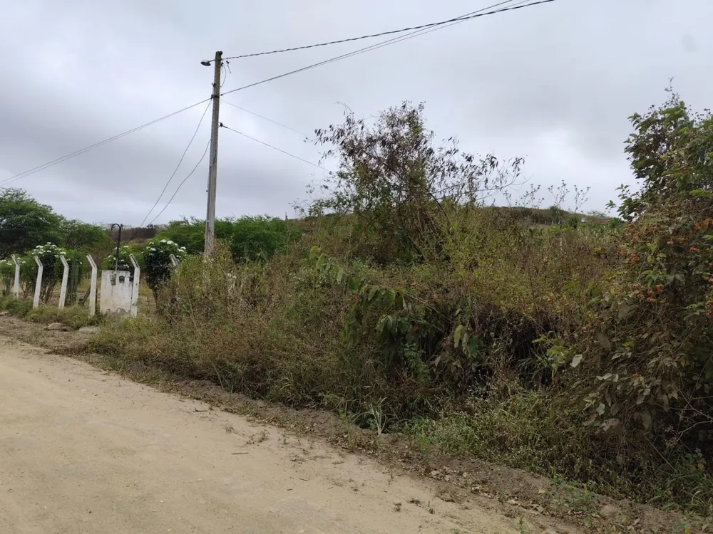 Terreno, 4250 m² - Foto 1