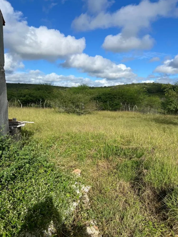 Terreno, 5000 m² - Foto 3