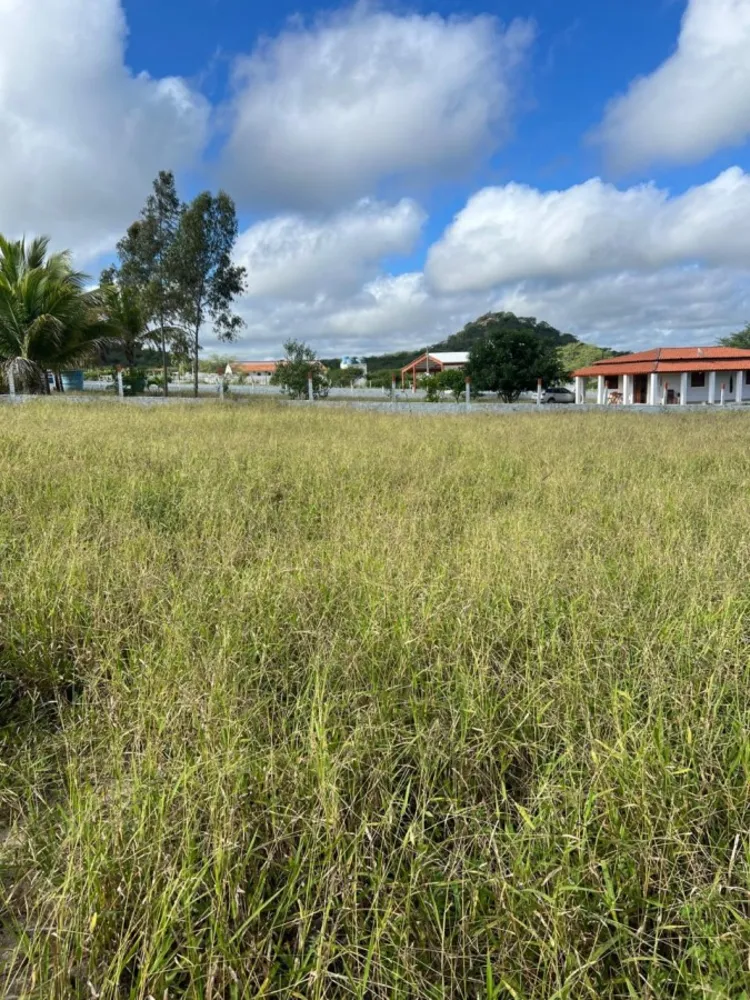 Terreno, 5000 m² - Foto 6