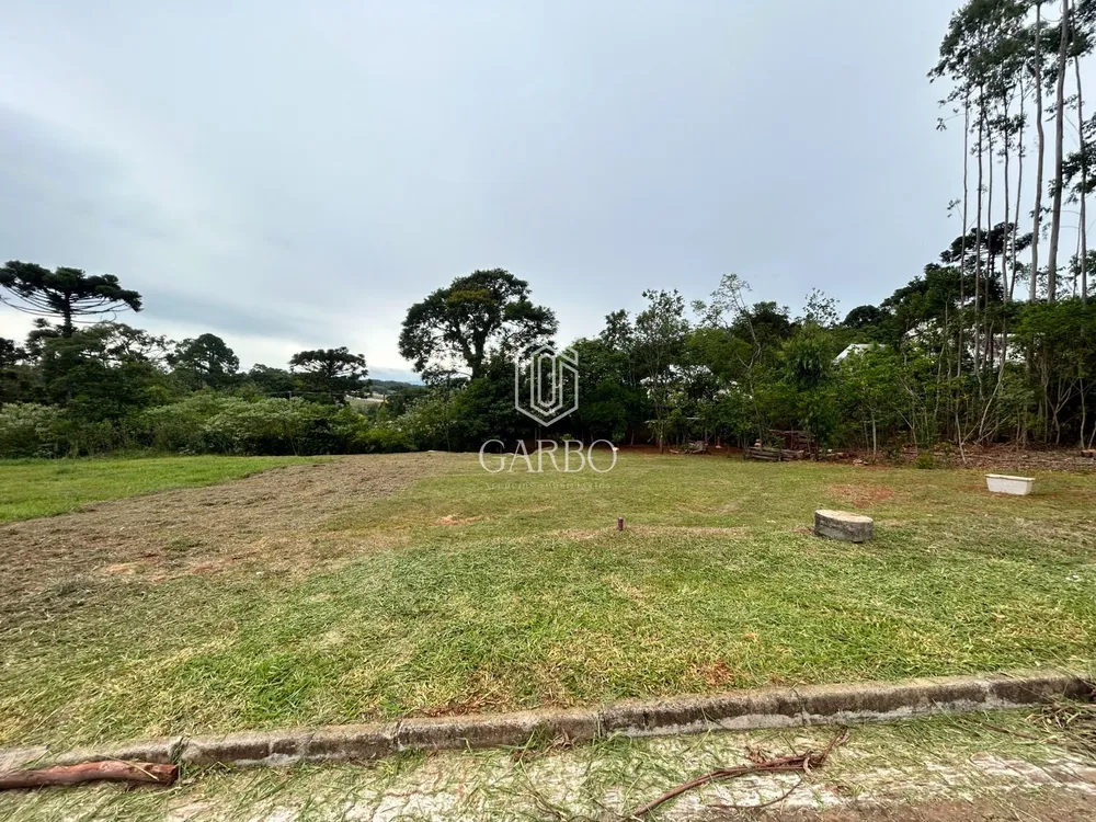 Terreno, 562 m² - Foto 3