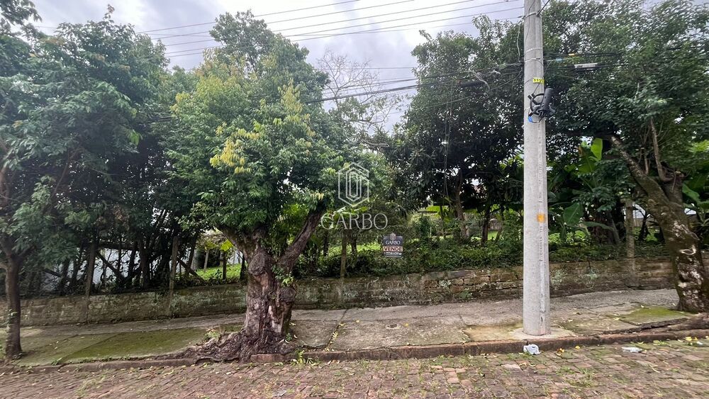 Terreno, 2181 m² - Foto 3