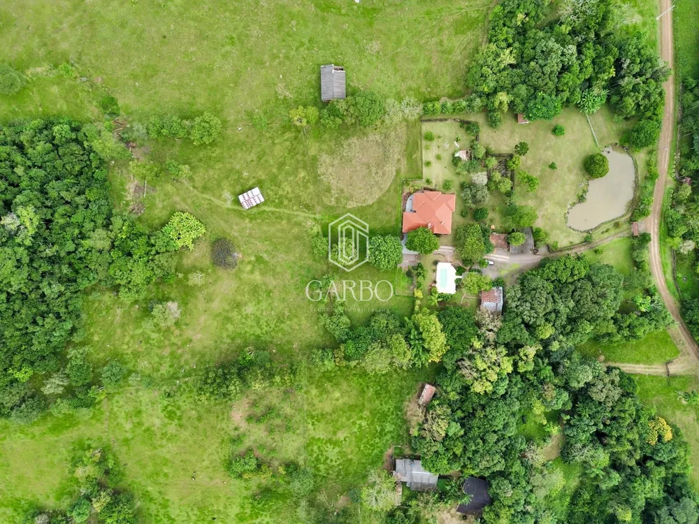 Sítio, 3 quartos, 4 hectares - Foto 6