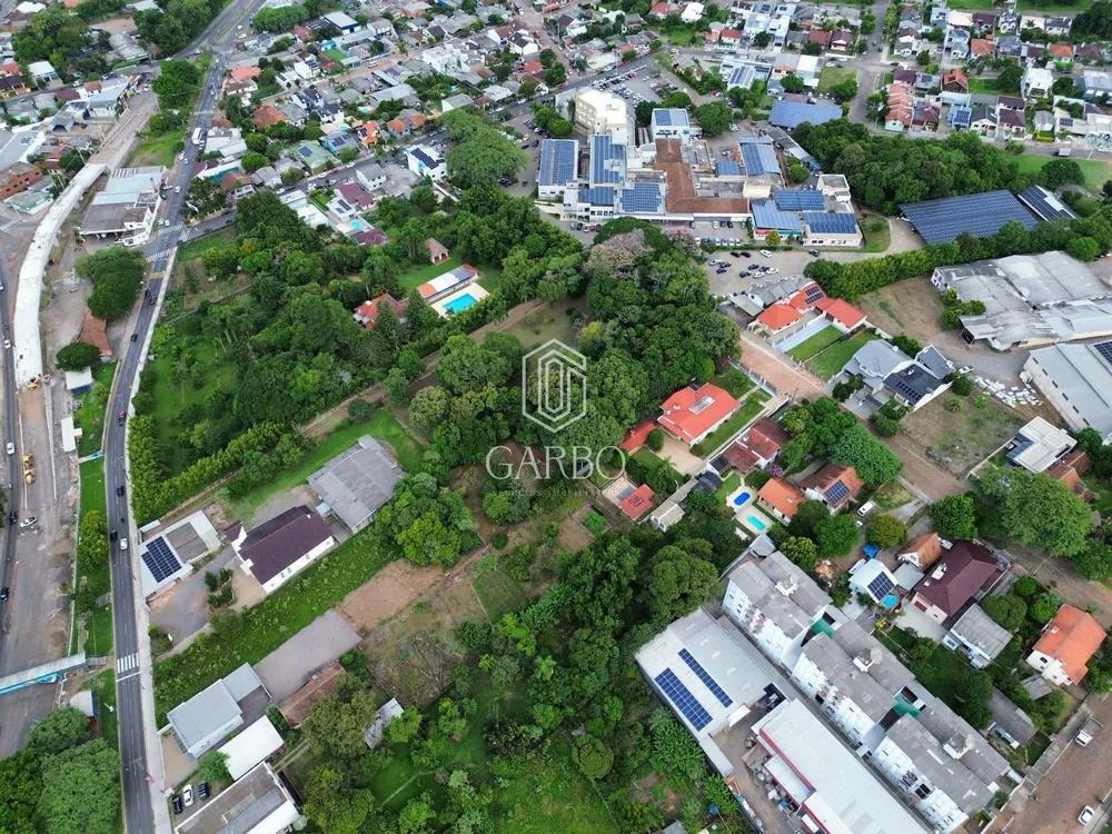 Casa, 4 quartos, 559 m² - Foto 3