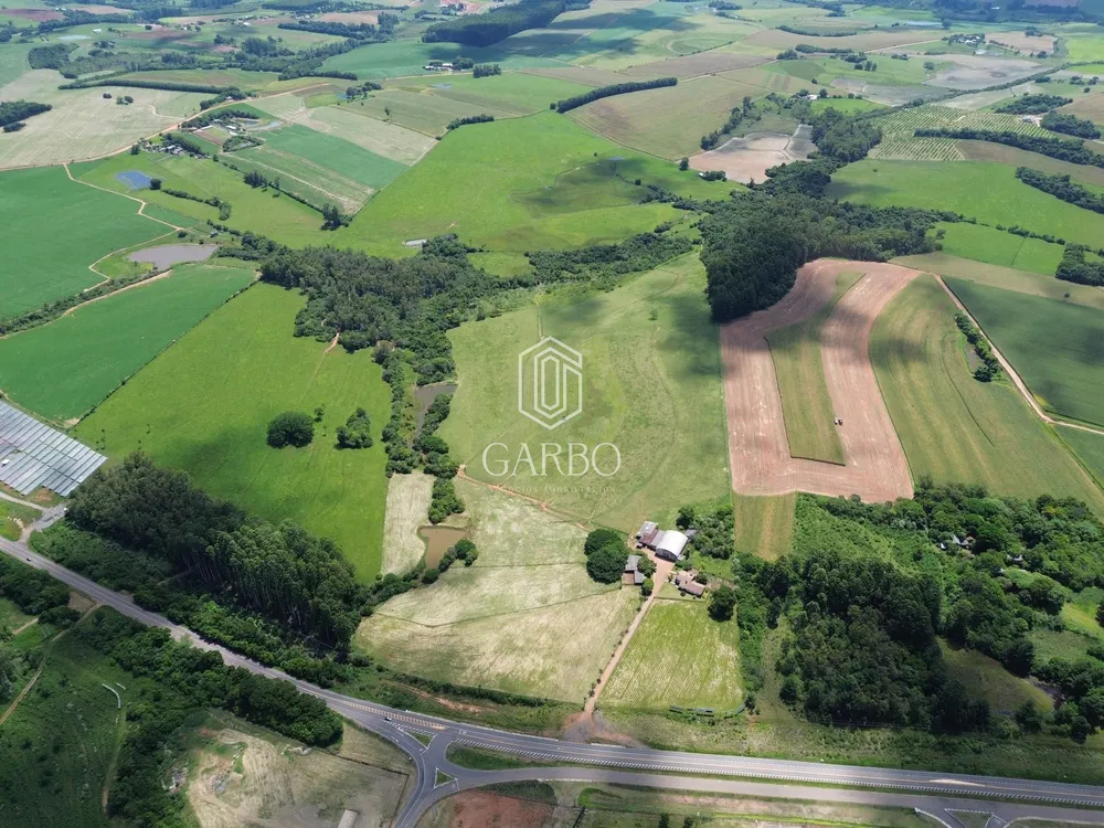 Loja-Salão, 1625 m² - Foto 3
