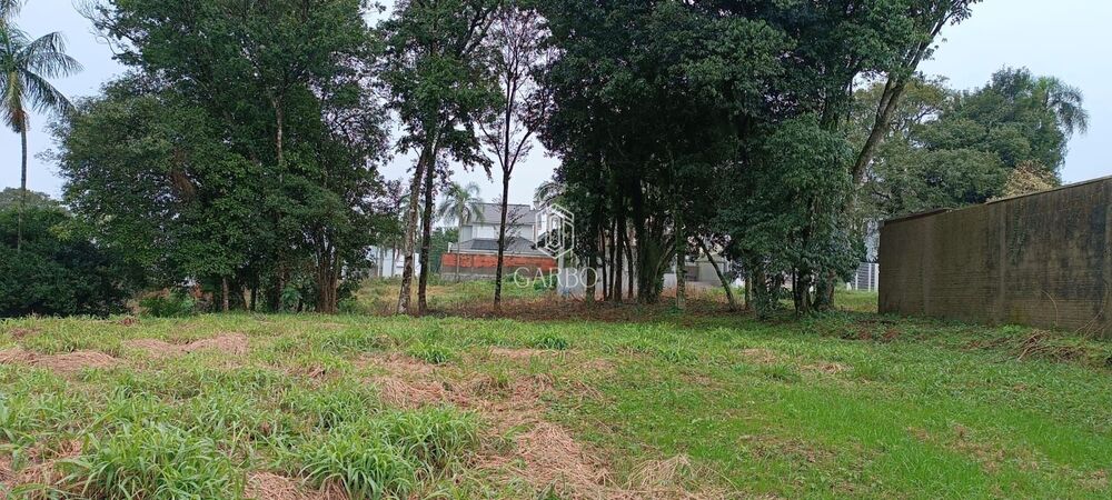 Terreno, 498 m² - Foto 4